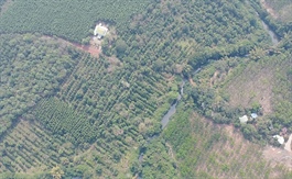 Đại Quang Minh đề xuất dự án kết nối Đồng Xoài đến Vành đai 4, giai đoạn 1 hơn 22.6 ngàn tỷ