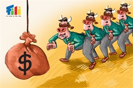 Góc nhìn 12/08: Thận trọng khi VN-Index liên tiếp chinh phục đỉnh mới