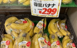 Nhờ đâu chuối Việt Nam “lấn lướt” chuối Philippines ở thị trường Nhật Bản?