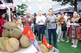 Việt Nam’s durian featured at first ASEAN–China Durian Festival