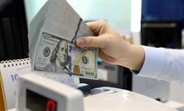 Tỷ giá ngày 12/8: Đồng USD tại các ngân hàng thương mại tiếp tục tăng nhẹ