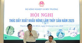 Nông sản Việt tung một loạt ‘át chủ bài’ để mang về 65 tỉ USD