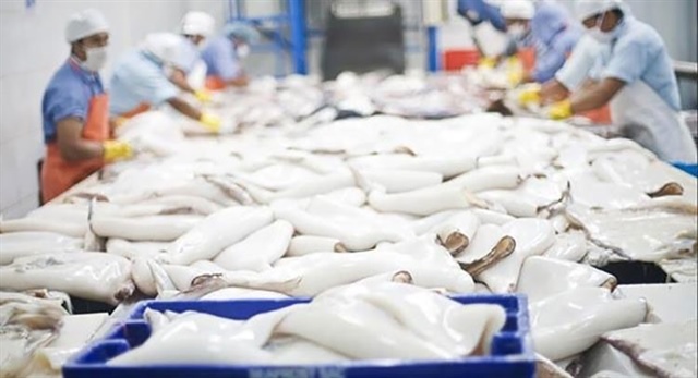 Việt Nam’s squid and octopus exports to Thailand surge, paving the way to a key market