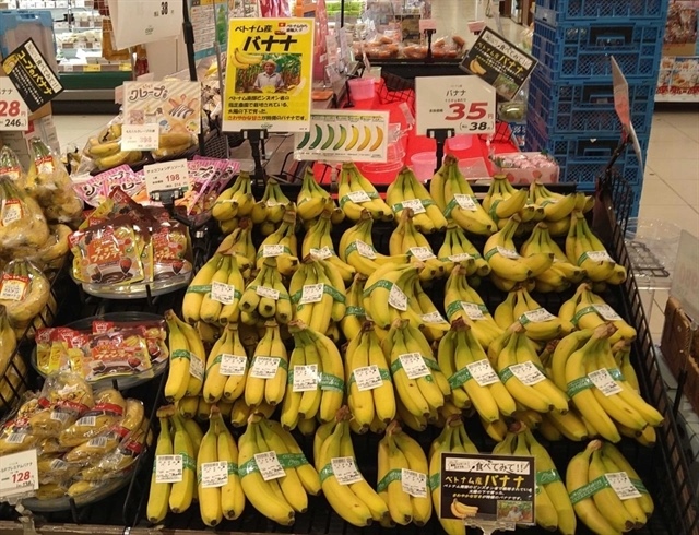 Vietnamese bananas gain foothold in Japan