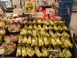 Vietnamese bananas gain foothold in Japan