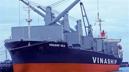 Vinaship to sell ageing bulk carrier, restructure fleet