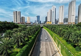 Sức sống mới giữa lòng đất nước