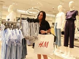 European firms look to Việt Nam for sustainable supply chains