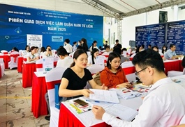 Hiring caution grows as opportunities shrink for fresh graduates, survey finds