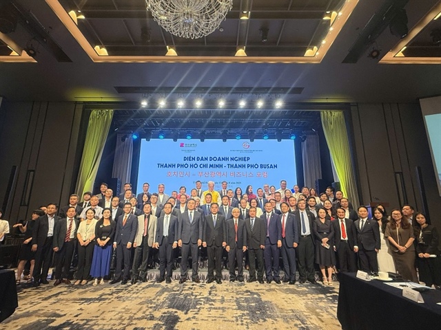 Ho Chi Minh City - Busan Business Forum expands links in strategic sectors