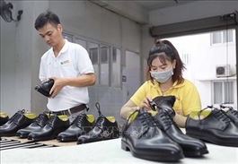 Việt Nam works to diversify raw material sources to ensure sustainable growth