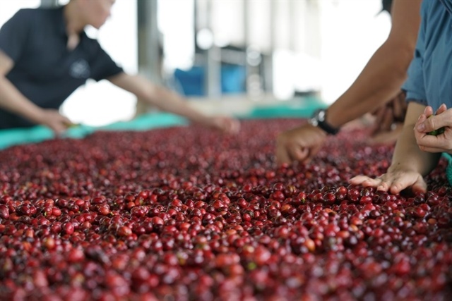 Agro exports rebound: Vietnam sets sights on high-value, sustainable growth (translated)