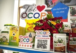 VN co-ops go digital to boost profits and cut costs