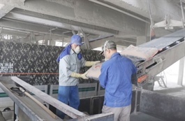 Cement industry eyes recovery in 2025 after years of glut