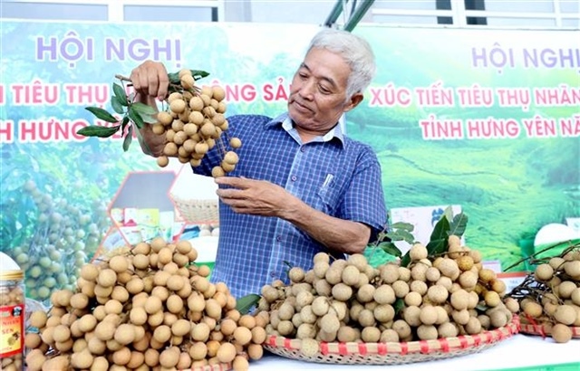 Hưng Yên boosts longan brand for export