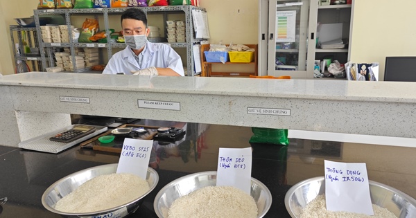 Nâng tầm hạt gạo Việt