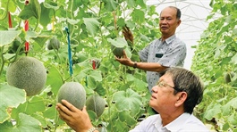 Diversification lends to turnover advances