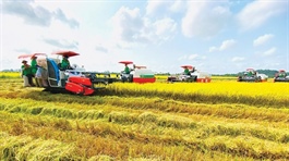 Green deals help level up agriculture