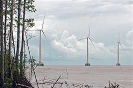 Powering change hurdles in VN's green energy push