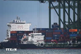 Việt Nam – Singapore trade continues to thrive