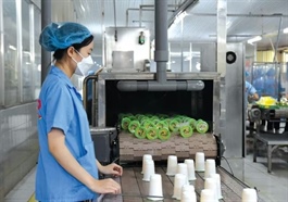 Việt Nam aims to see 30 SOEs with billion-dollar revenue by 2030