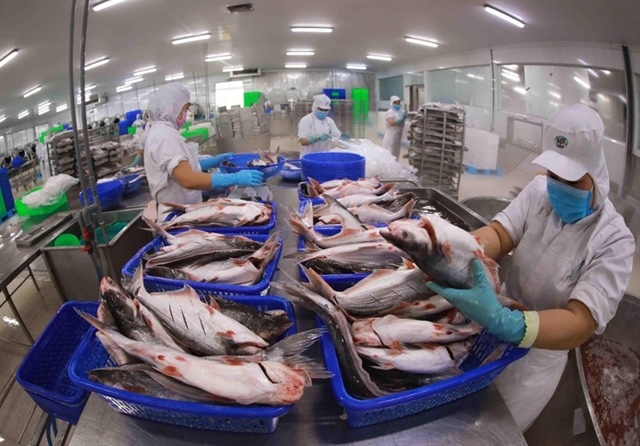 Swimming ahead with Việt Nam’s pangasius exports
