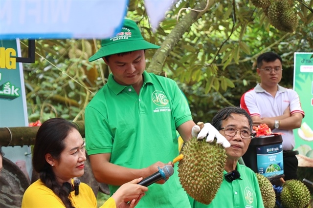 Durian aroma spreads across digital space