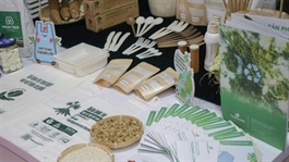 Opportunities abound for Việt Nam’s biodegradable plastics in the Spanish market