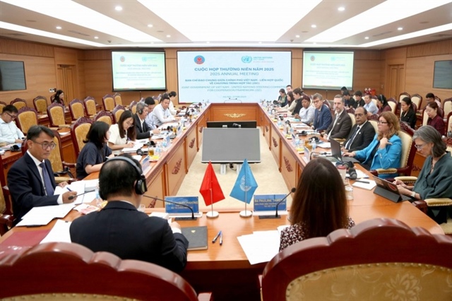 Strengthening development cooperation between Vietnam and United Nations organisations