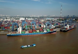 Maritime logistics firms thrive on global trade dynamics