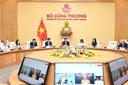 Việt Nam, Brazil promote launch of Việt Nam - MERCOSUR FTA negotiations