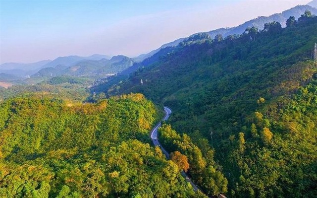 Vietnam to transfer additional one million carbon credits to World Bank