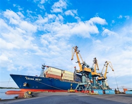 Transport sector shows strong divergence in H1 performance