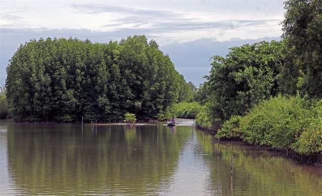 Cà Mau emerges as Việt Nam’s shrimp powerhouse after merger
