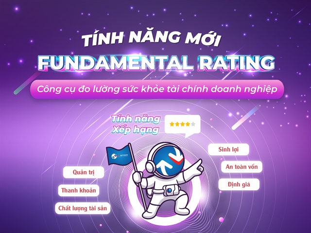 Fundamental Rating (Xếp hạng) – Công cụ đo lường sức khỏe tài chính doanh nghiệp trên VietstockFinance