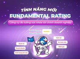 Fundamental Rating (Xếp hạng) – Công cụ đo lường sức khỏe tài chính doanh nghiệp trên VietstockFinance