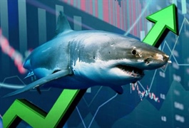 Theo dấu dòng tiền cá mập 08/09: Khối ngoại, tự doanh cùng mua ròng khi thị trường lao dốc