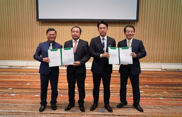 AgriS teams up with ITOCHU to advance alternative sweeteners