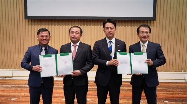 AgriS teams up with ITOCHU to advance alternative sweeteners