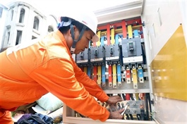 Power play over EVN losses