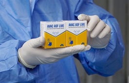 Việt Nam exports additional 340,000 doses of ASF vaccine to Philippines