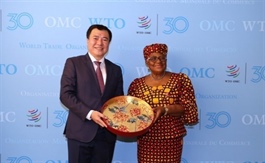 Việt Nam supports WTO’s reform process: deputy trade minister