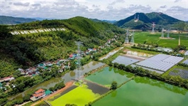 Competitiveness, transparency critical for sustainable electricity development