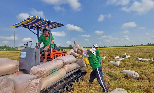 PM directs stronger measures to boost rice production, export