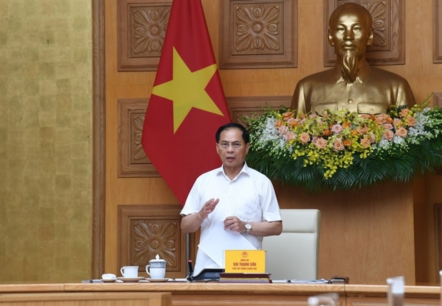The government urges implementation of the revised Power Plan VIII