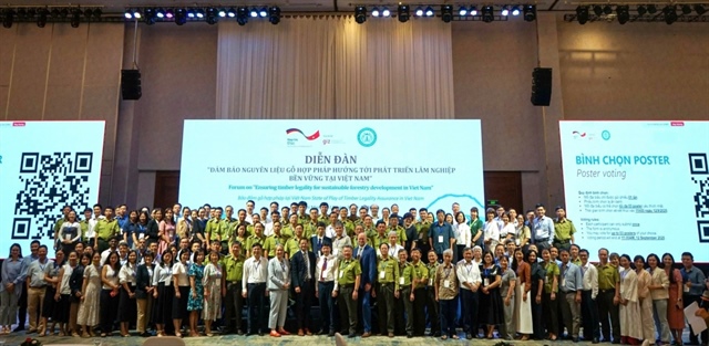 Vietnam and Germany outline next steps for sustainable timber trade