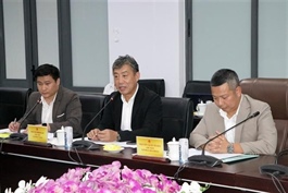 Japanese firm eyes biomass power, agro-processing projects in Vĩnh Long