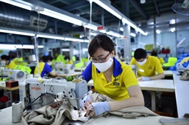 Garment and textile firms eye exports and domestic market for growth