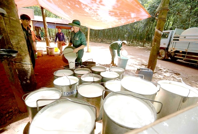 VN-Index snaps a five-day rising streak