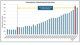 Sản lượng gạo Campuchia đã tăng 400% từ giữa thập niên 1990